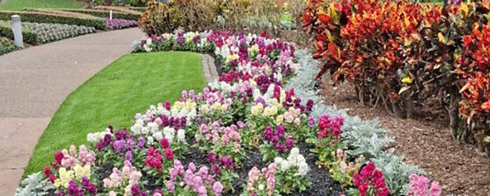 The colourful displays of flowers and foliage in the Roma Street Parklands.